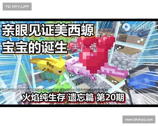 火焰之地生存与探索技巧全解析 揭秘极限环境下的生存智慧 火焰之地生存与探索技巧全解析 揭秘极限环境下的生存智慧
