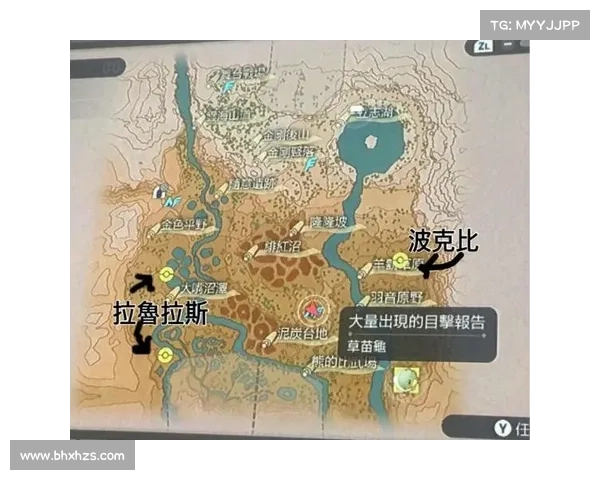 波克比的进化旅程从幼小起步到最终形态的心灵蜕变之路 波克比的进化旅程从幼小起步到最终形态的心灵蜕变之路